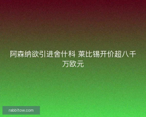 阿森纳欲引进舍什科 莱比锡开价超八千万欧元