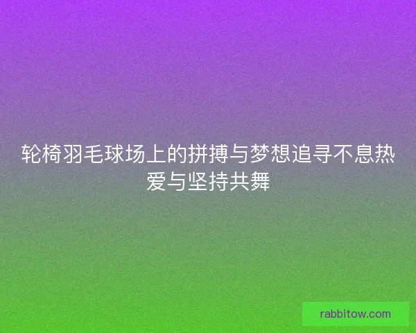轮椅羽毛球场上的拼搏与梦想追寻不息热爱与坚持共舞